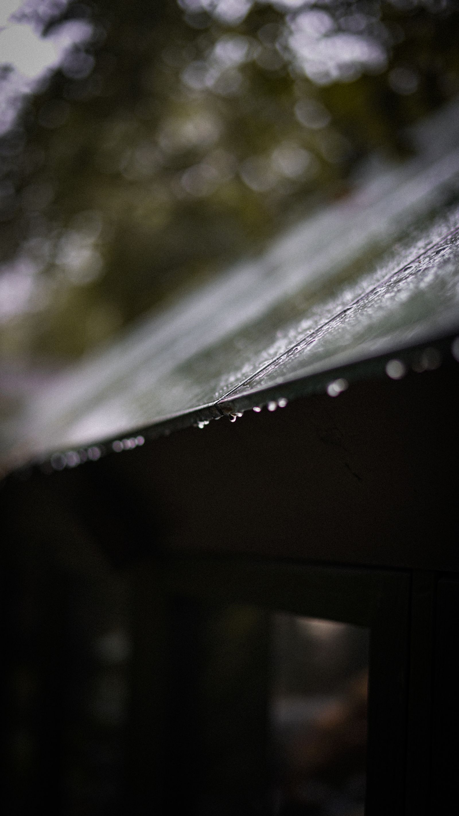Representative before state - close-up of a wet, worn roof